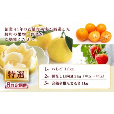 【発送月固定定期便】特選果物・野菜定期便【Y20】(綾町)全8回