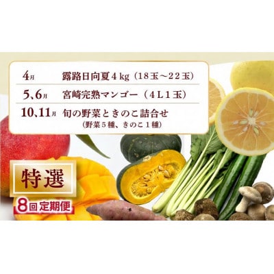 【発送月固定定期便】特選果物・野菜定期便【Y20】(綾町)全8回