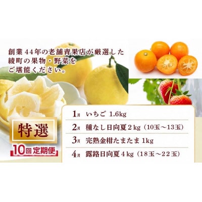 【発送月固定定期便】特選果物・野菜定期便【Y21】(綾町)全10回
