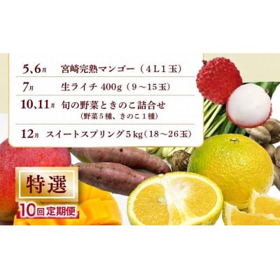 【発送月固定定期便】特選果物・野菜定期便【Y21】(綾町)全10回