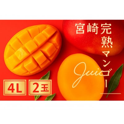 【発送月固定定期便】至極完熟マンゴー定期便【Z21】(綾町)全3回