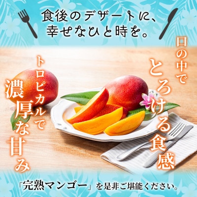 【発送月固定定期便】至極完熟マンゴー定期便【Z21】(綾町)全3回