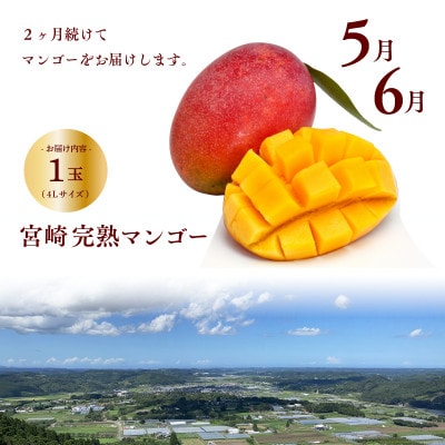 【発送月固定定期便】特選果物定期便【Y22】(綾町)全6回