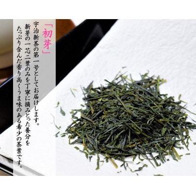 【令和7年産　先行予約】京都茶匠きよ泉の宇治新茶3袋セット(宇治煎茶飲み比べセット　各80g)