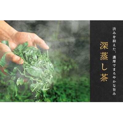 深蒸し 煎茶 ティーバッグ (40個入×2袋)