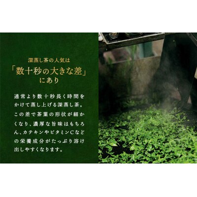 深蒸し 煎茶 ティーバッグ (40個入×2袋)