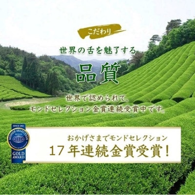 こいまろ茶(100g×6袋入り 茶さじ付)