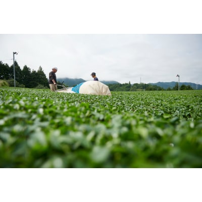 宇治田原紅茶5袋