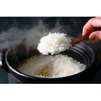 京都産ひのひかり4kgと宇治抹茶入り煎茶1kgのセット