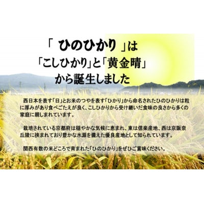 京都産ひのひかり4kgと宇治抹茶入り煎茶1kgのセット