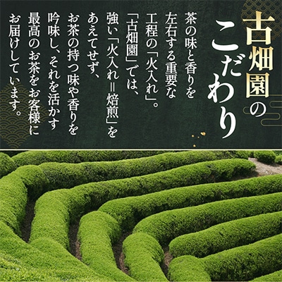 特別金賞受賞　宇治抹茶　琴