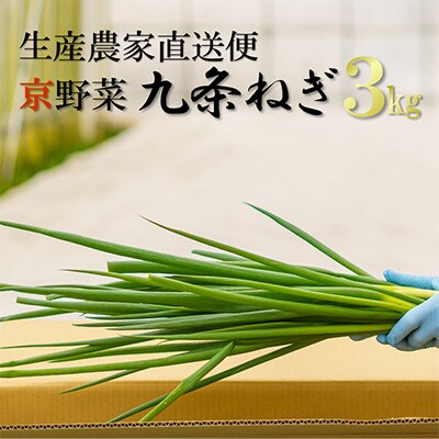 京野菜・九条ネギ　約3kg　(農家直送便)