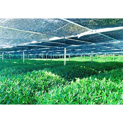 宇治・有機冠茶(かぶせちゃ)　100g×3本