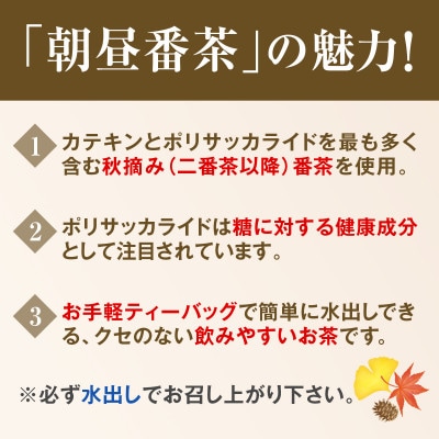 宇治・水出し朝昼番茶ティーバッグ　10g×20個入×6袋　クールサーバー付