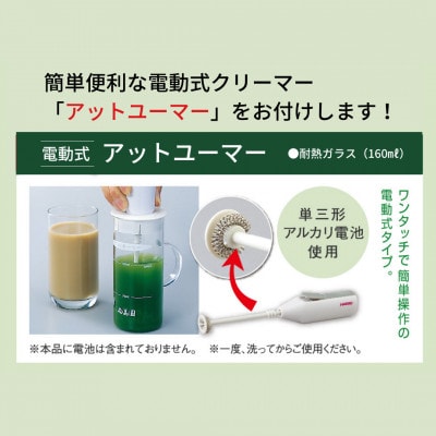 宇治抹茶グリーンティー　150g×6袋セット&電動式クリーマー付