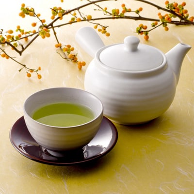2023年9月発送開始『定期便』宇治茶ティーバッグ3種セット(煎茶・ほうじ茶・抹茶入玄米茶)全4回