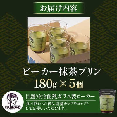 葉山ビーカープリン マーロウ 宇治抹茶プリン 5個セット