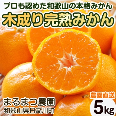 【2024年12月順次発送】完熟濃厚 木成り温州みかん ミックスサイズ 5kg 和歌山県産