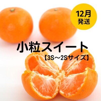【2022年12月発送】まるまつ農園の木成り完熟温州みかん小粒スイート5kg