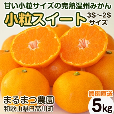 【2024年12月発送】濃厚完熟 木成り温州みかん 小粒スイート 5kg 和歌山県産