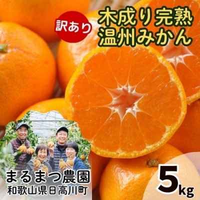 【2026年1月発送】訳あり 完熟 木成り 温州みかん ミックスサイズ 5kg 和歌山県産