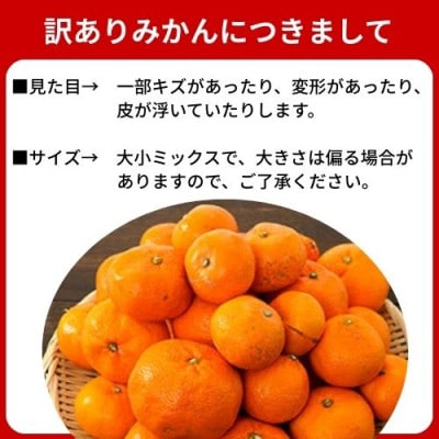 【2026年1月発送】訳あり 完熟 木成り 温州みかん ミックスサイズ 5kg 和歌山県産