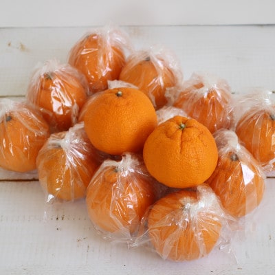 お好みの味に育てて楽しむ 不知火(しらぬひ) 5kg 産地直送 和歌山県産