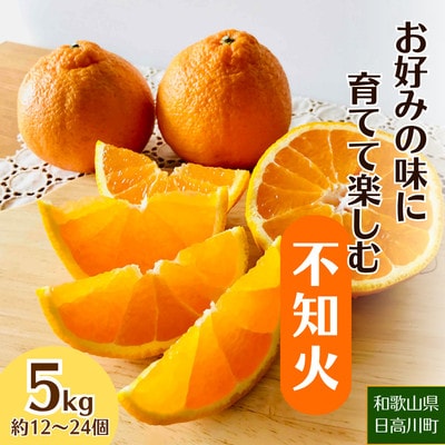 【2027年2月～4月】お好みの味に育てて楽しむ 不知火(しらぬひ) 5kg 産地直送 和歌山県産