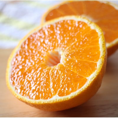 お好みの味に育てて楽しむ 不知火(しらぬひ) 5kg 産地直送 和歌山県産