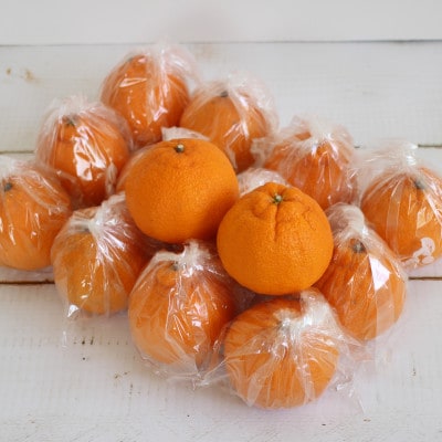 お好みの味に育てて楽しむ不知火　3kg　産地直送　和歌山県産