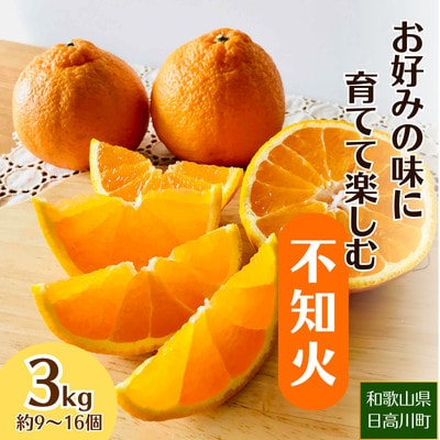 【2027年2月～4月発送】お好みの味に育てて楽しむ不知火　3kg　産地直送　和歌山県産