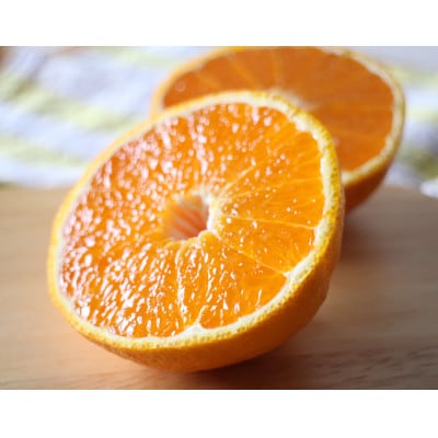 お好みの味に育てて楽しむ不知火　3kg　産地直送　和歌山県産