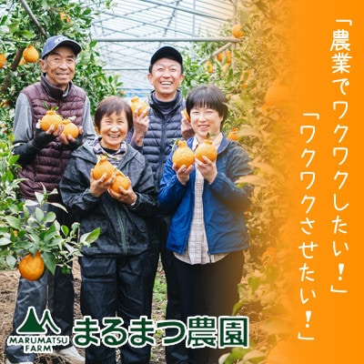 お好みの味に育てて楽しむ不知火　3kg　産地直送　和歌山県産