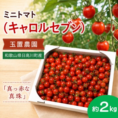 【2027年1月中旬以降発送】完熟ミニトマト キャロルセブン 約2kg
