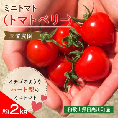 【2027年1月中旬以降発送】ハート型ミニトマト トマトベリー 約2kg