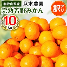 【11月下旬から順次発送】圦本農園の完熟 若野みかん 10kg(ワケあり・玉数はおまかせ) | ふるさと納税のお礼品