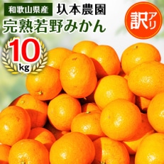 【11月下旬から順次発送】圦本農園の完熟 若野みかん 10kg(ワケあり・玉数はおまかせ)