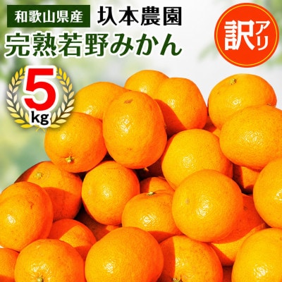 【11月下旬から順次発送】圦本農園の完熟 若野みかん 5kg(ワケあり・玉数はおまかせ)