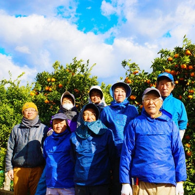 【11月下旬から順次発送】圦本農園の完熟 若野みかん 5kg(ワケあり・玉数はおまかせ)