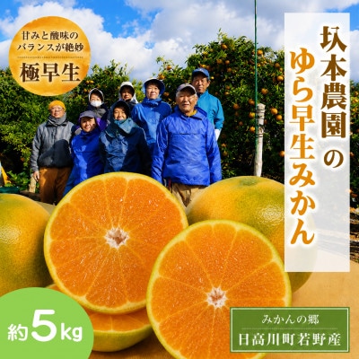 【10月上旬から発送】圦本農園の「ゆら早生みかん」 約5kg
