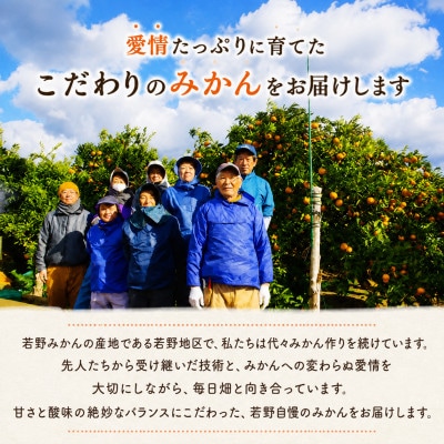 【10月上旬から発送】圦本農園の「ゆら早生みかん」 約5kg