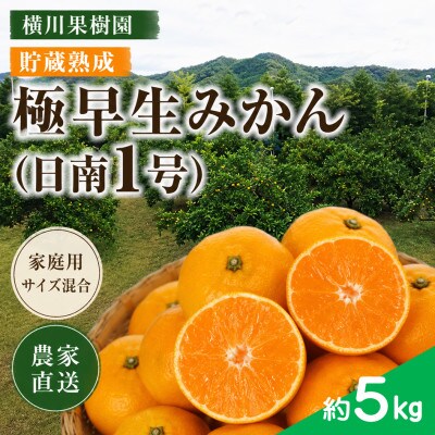【2026年10月以降発送】木なり完熟 極早生みかん「日南1号」約5kg(家庭用・サイズ混合)