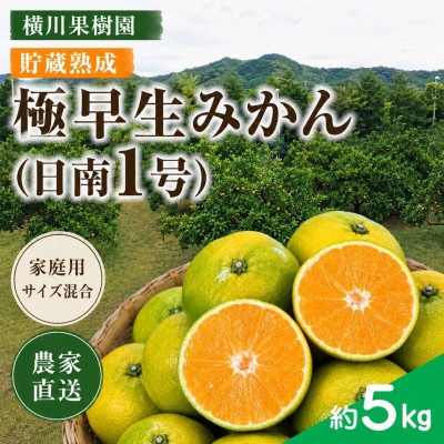 【2026年10月以降発送】木なり完熟 極早生みかん「日南1号」約5kg(家庭用・サイズ混合)