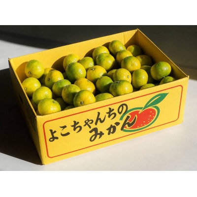 【2026年10月以降発送】木なり完熟 極早生みかん「日南1号」約5kg(家庭用・サイズ混合)