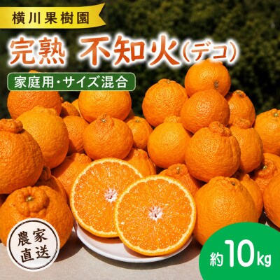 【2027年3月中旬以降発送】貯蔵熟成 不知火(デコ) 約10kg(家庭用・サイズ混合)