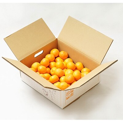 年11月下旬以降発送 猫と こたつと 思い出みかん 約4 5kg お礼品詳細 ふるさと納税なら さとふる