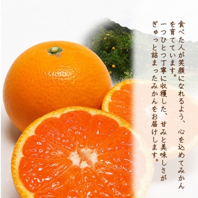 【家庭用】【樹上完熟】甘みとコクがはじける!日高川の恵み「ゆら早生みかん」 サイズ混合　約10kg