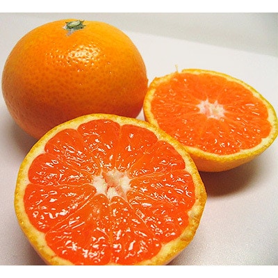 【日高川町産】ゆら早生みかん5kg