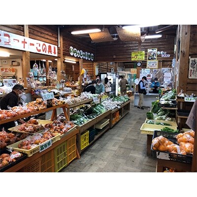 日高川町内の観光施設で利用できる「利用券」15,000円(500円券×30枚)