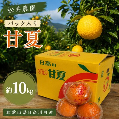【2027年4月発送】甘夏 約10kg(サイズ混合)　和歌山県日高川町産